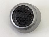 Panel speaker