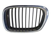 Front bumper upper radiator grill