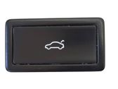 Tailgate/boot open switch button