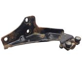 Sliding door lower roller guide/hinge