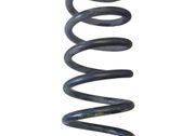 Rear coil spring
