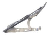 Engine bonnet/hood hinges