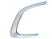 Other front door trim element