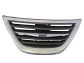 Front bumper upper radiator grill