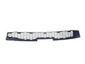 Grille inférieure de pare-chocs avant