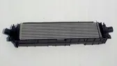 Radiador intercooler