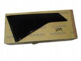 Front door trim (molding)