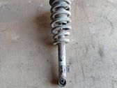 Front shock absorber with coil spring