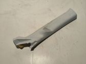 (A) pillar trim
