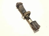 Front shock absorber/damper