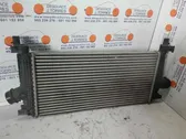 Intercooler radiator