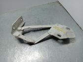 Bisagras del capó/tapa del motor