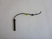 Antenne des Keyless-Systems