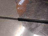 Tailgate/trunk strut/damper