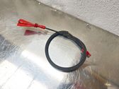 Rear door cable line
