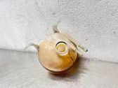 Coolant expansion tank/reservoir