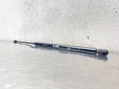 Tailgate/trunk strut/damper