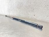 Tailgate/trunk strut/damper