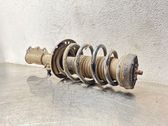 Front shock absorber with coil spring