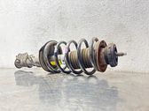 Front shock absorber with coil spring