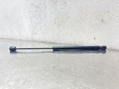 Tailgate/trunk strut/damper