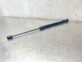 Tailgate/trunk strut/damper