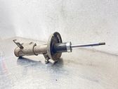 Front shock absorber/damper