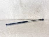 Tailgate/trunk strut/damper