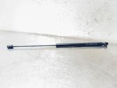 Tailgate/trunk strut/damper