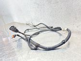 Other wiring loom