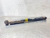 Rear shock absorber/damper