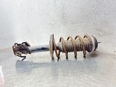Front shock absorber with coil spring