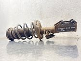 Front shock absorber with coil spring