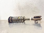 Front shock absorber with coil spring