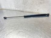 Tailgate/trunk strut/damper