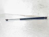 Tailgate/trunk strut/damper
