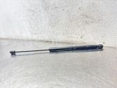 Tailgate/trunk strut/damper