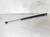 Tailgate/trunk strut/damper