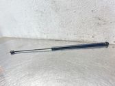 Front bonnet/hood damper/strut