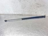 Front bonnet/hood damper/strut
