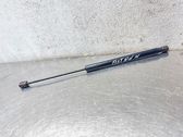 Tailgate/trunk strut/damper