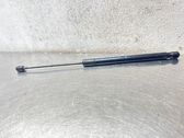 Tailgate/trunk strut/damper