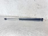 Tailgate/trunk strut/damper
