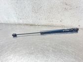 Tailgate/trunk strut/damper