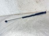 Tailgate/trunk strut/damper