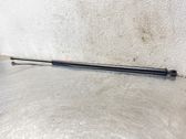 Tailgate/trunk strut/damper
