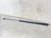 Front bonnet/hood damper/strut