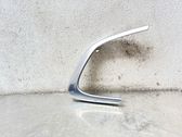 Other rear door trim element