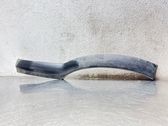 Fender trim (molding)