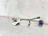 Other wiring loom